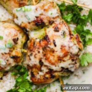 Grilled chicken skewers with a creamy sauce served over white rice and garnished with fresh cilantro on a white plate, ready to be enjoyed.