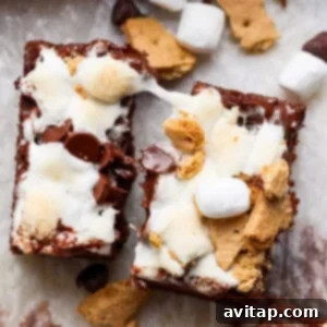 Two enticing Protein S'mores Brownies, generously topped with melted marshmallows, chocolate chips, and graham cracker pieces, set against a light background.