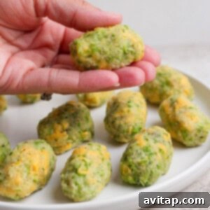 A hand holds a homemade broccoli and cheese tot over a white plate with more tots arranged on it, showcasing its perfect shape.