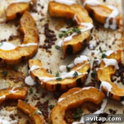 Perfectly roasted delicata squash slices, golden-brown and exquisitely tender, artfully arranged on a clean baking sheet, awaiting a delicate drizzle of creamy sauce. The natural beauty of the squash is highlighted.