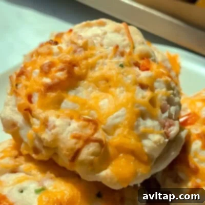 A mouth-watering close-up of cheesy baked biscuits, featuring a beautiful golden crust and a generous, melted topping of cheddar cheese. They are artfully served on a pristine white plate, making them perfect for a cozy, comforting meal.