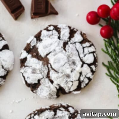 Chocolate crinkle cookies