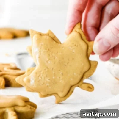 Maple Sugar Cookies