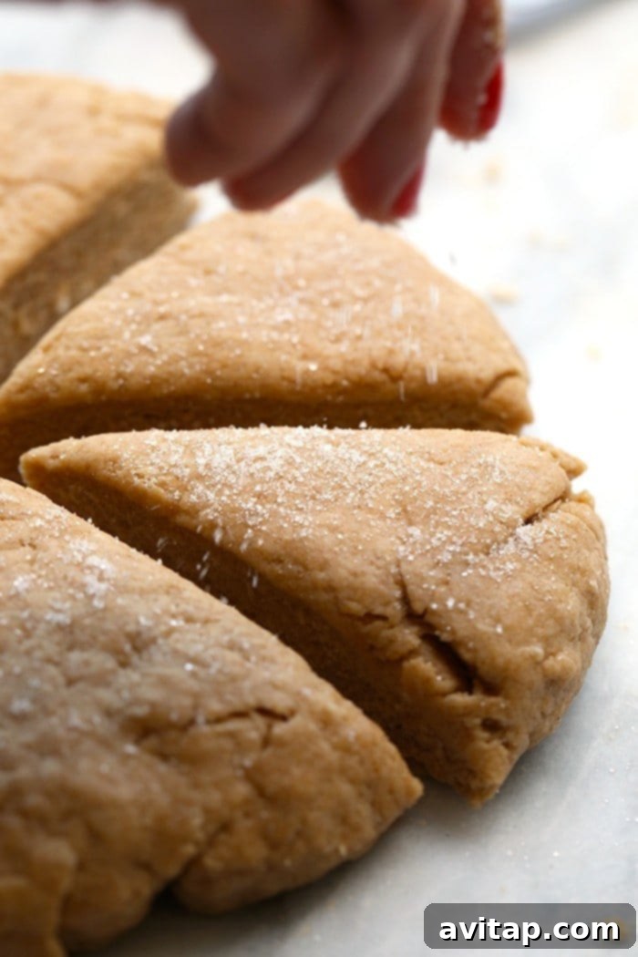Hearty Whole Wheat Scones 5 A spread of Honey Whole Wheat Scones, some with blueberries and jam, perfect for a healthy and delicious breakfast or afternoon tea. Recipe from the Love Real Food Cookbook.