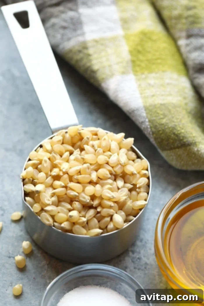 Ingredients for stovetop popcorn laid out: popcorn kernels, cooking oil, and sea salt with a pot in the background