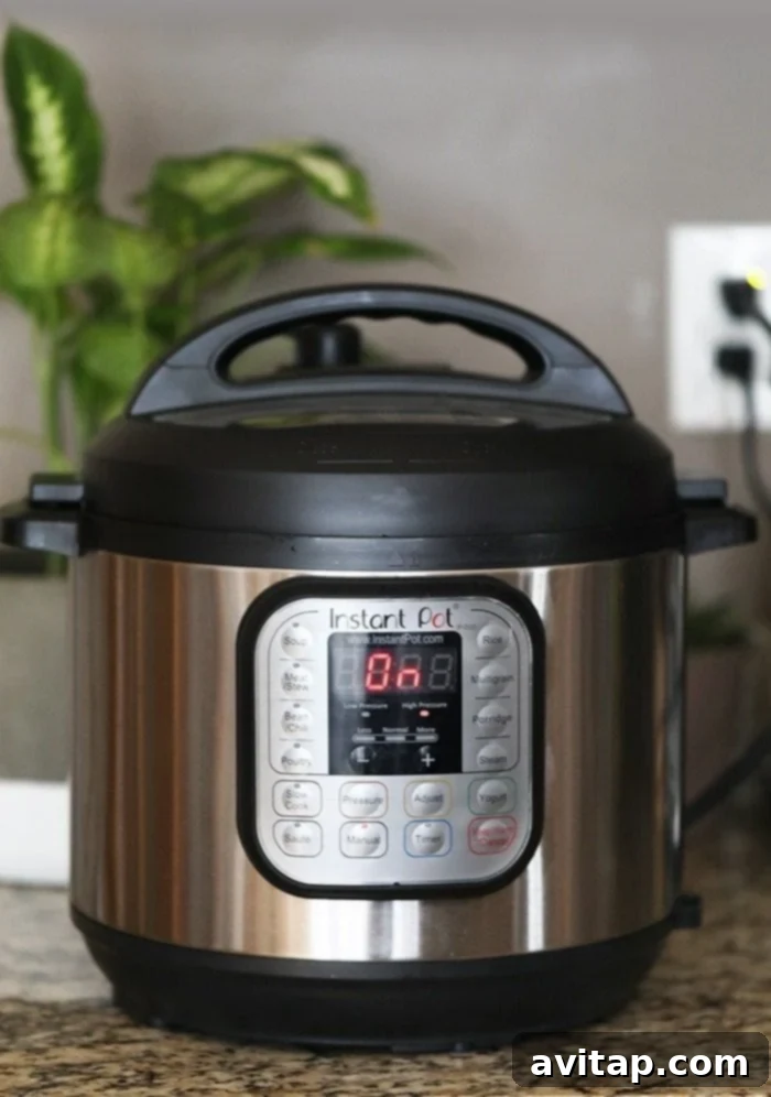 A photo of an instant pot on a kitchen counter