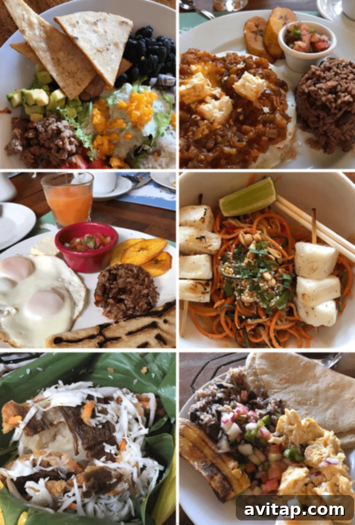 A colorful and healthy dish with fresh ingredients, representing the diverse and delicious cuisine of Nicaragua.