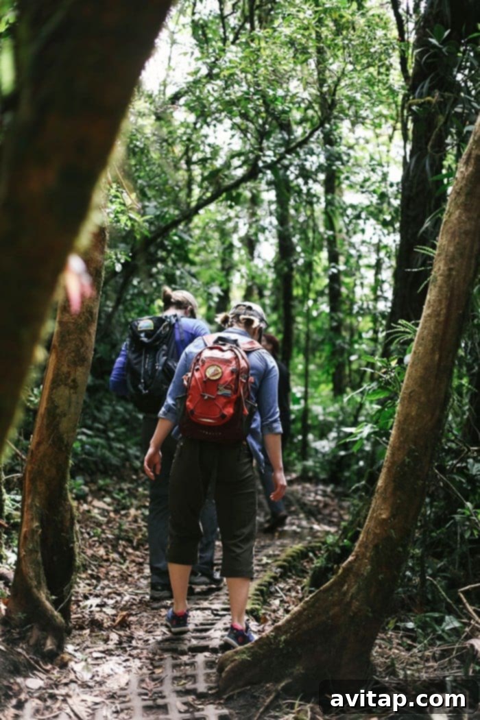Hiker on a trail surrounded by lush greenery in Monteverde Cloud Forest