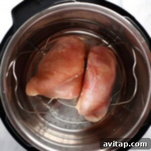 Raw chicken breasts arranged on a trivet inside the Instant Pot, positioned above the liquid, ready for pressure cooking.