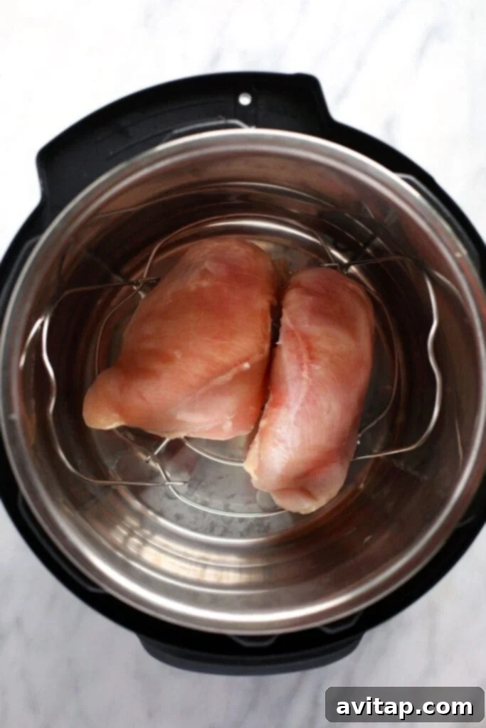 Raw chicken breasts seasoned and placed on a trivet inside an Instant Pot, ready for pressure cooking, illustrating the initial setup.