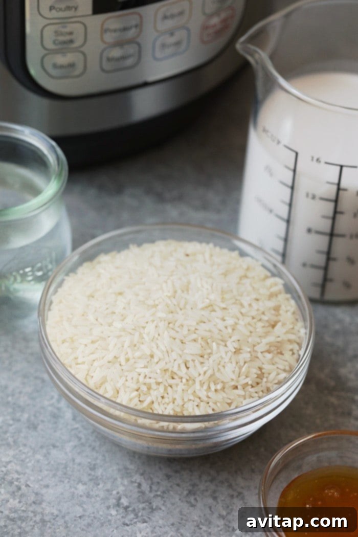 Delicious & Easy Coconut Rice Delicious coconut rice prepared in an Instant Pot, ready to be served as a side dish