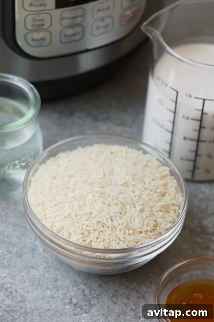 Close-up of fluffy Instant Pot coconut rice garnished with fresh herbs, showcasing its creamy texture.