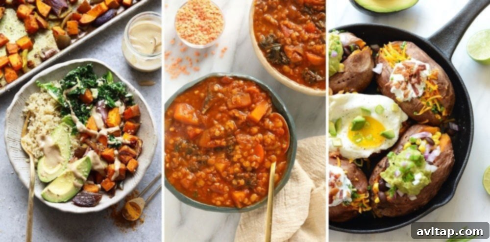 Healthy Sweet Potato Lunches Variety of sweet potato lunch options including buddha bowls, stuffed sweet potatoes, and quesadillas.