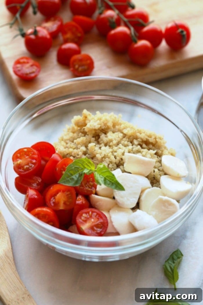 Essential Ingredients for a Fresh Caprese Quinoa Salad Assortment of fresh ingredients for Caprese Quinoa Salad, including cooked golden quinoa, vibrant halved cherry tomatoes, small fresh mozzarella balls, and a bunch of green basil leaves, neatly arranged in a bowl, ready for mixing.