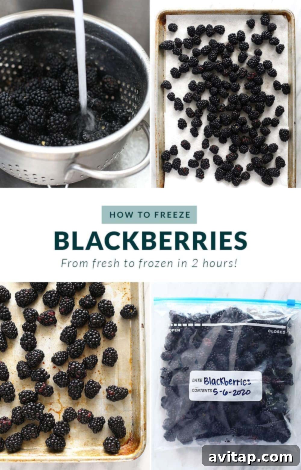 Step-by-step guide on how to freeze blackberries, showcasing washing, drying, and single-layer freezing.