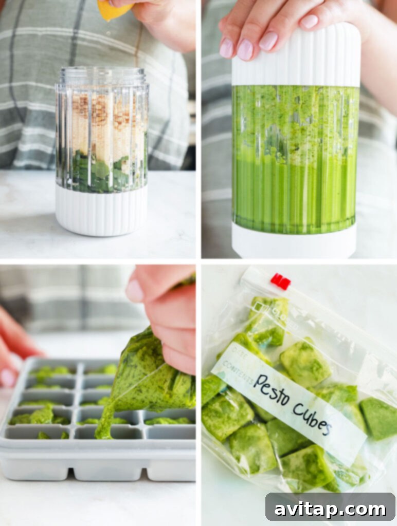 Fresh Homemade Pesto Made Easy 3 A series of step-by-step photos illustrating the process of making homemade pesto, from fresh ingredients to blending in a food processor.