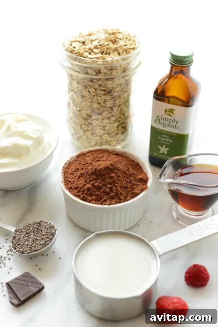 Velvet Chocolate Overnight Oats 3 Close-up of the dry ingredients for chocolate overnight oats being mixed in a bowl, showing cocoa powder, oats, and chia seeds.