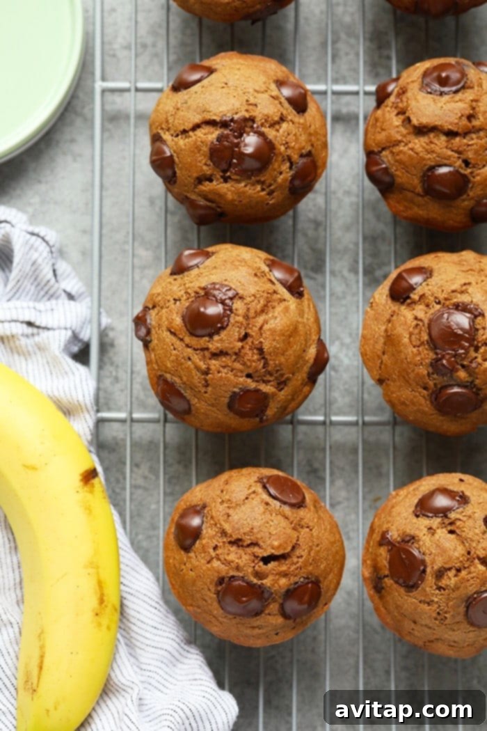 Freshly baked banana chocolate chip muffins arranged neatly on a wire cooling rack, emitting warmth and delicious aroma.