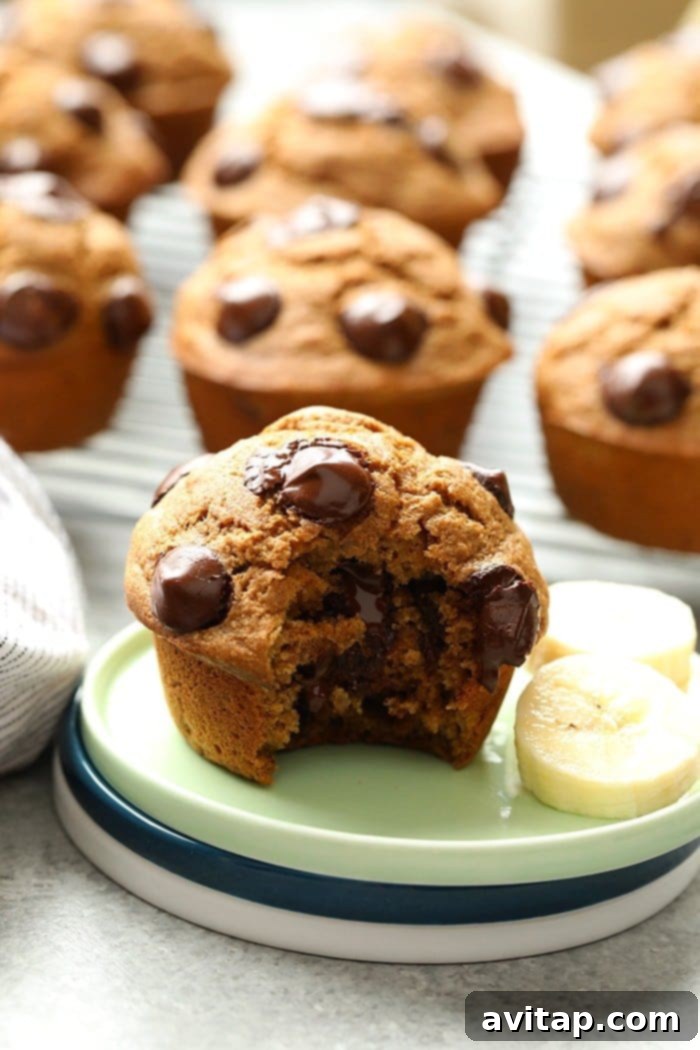 A single delicious healthy banana chocolate chip muffin presented on a simple white plate, ready for a bite.