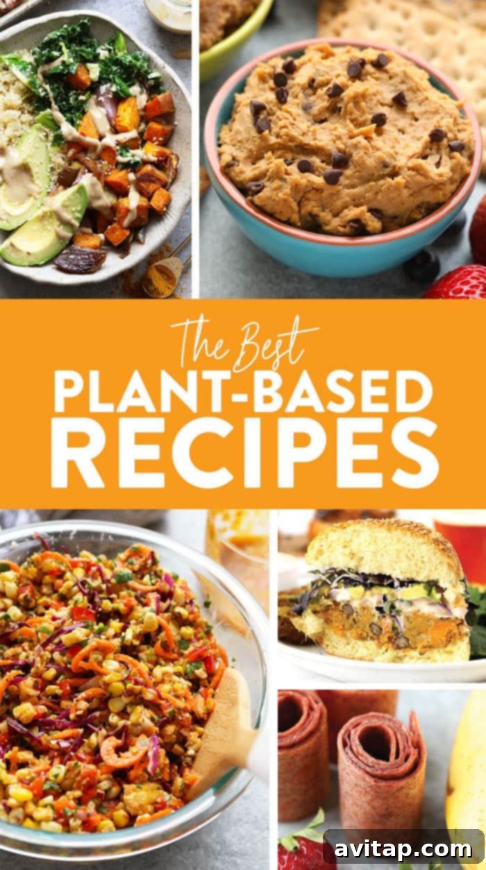 Collection of healthy vegetarian and plant-based recipes for breakfast, lunch, dinner, and snacks.