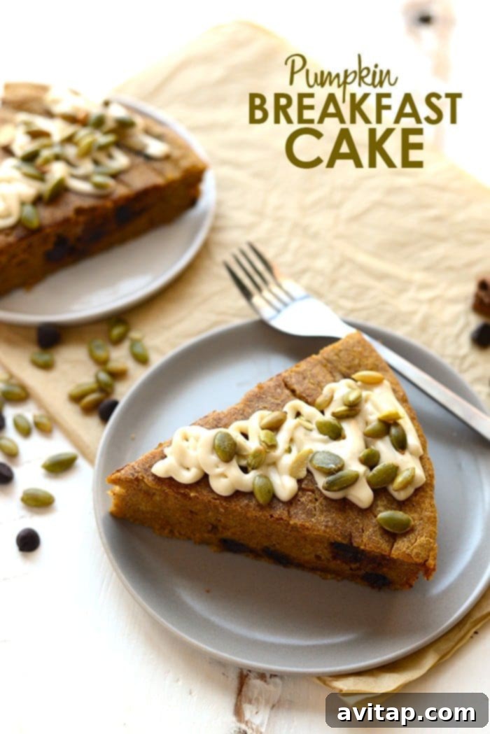 Waking up to this chocolate chip pumpkin breakfast cake and a hot cup of coffee will give you an automatic happy belly and a great day! Wholesome chocolate chip pumpkin breakfast cake