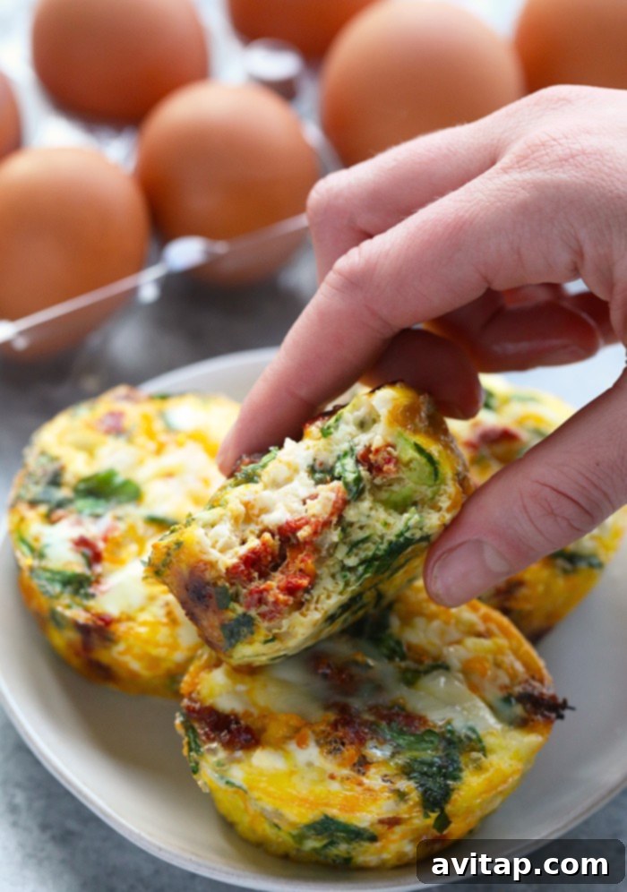 Spinach and sun-dried tomato egg cups in a muffin tin.