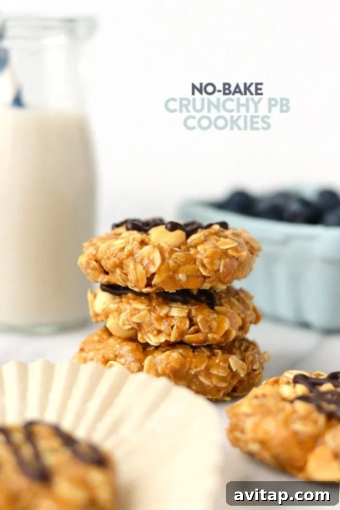 These Healthy No-Bake Peanut Butter Cookies are made with 100% whole grains, peanuts, peanut butter, and no refined sugars for a healthier homemade variation! Healthy no-bake vegan peanut butter cookies with crunchy peanuts