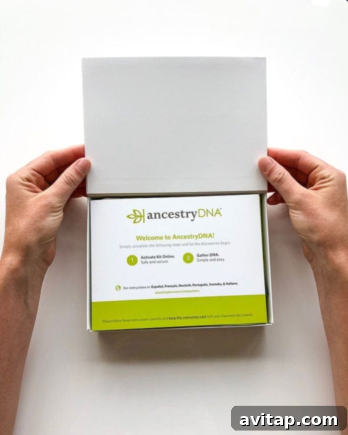 Ancestry DNA kit with zucchini lasagna in background, symbolizing the connection between heritage and homemade food