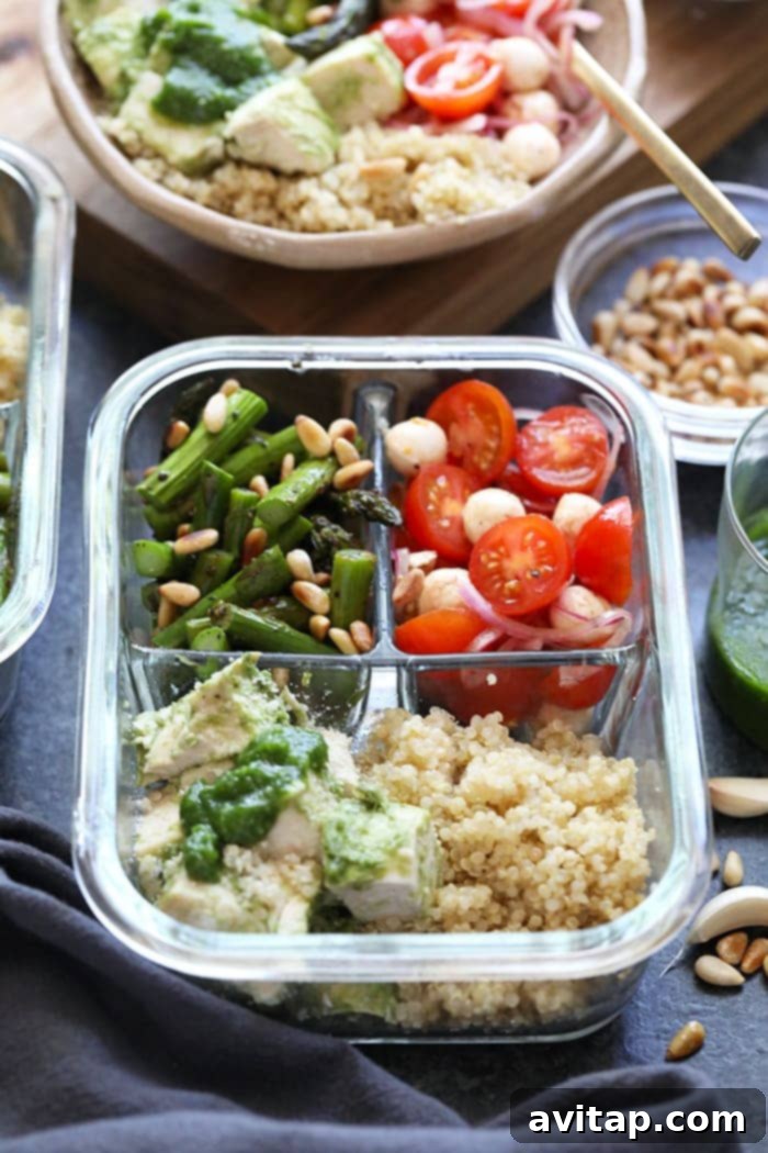 Individual pesto chicken meal prep container with all components neatly arranged, ready to be taken for lunch.