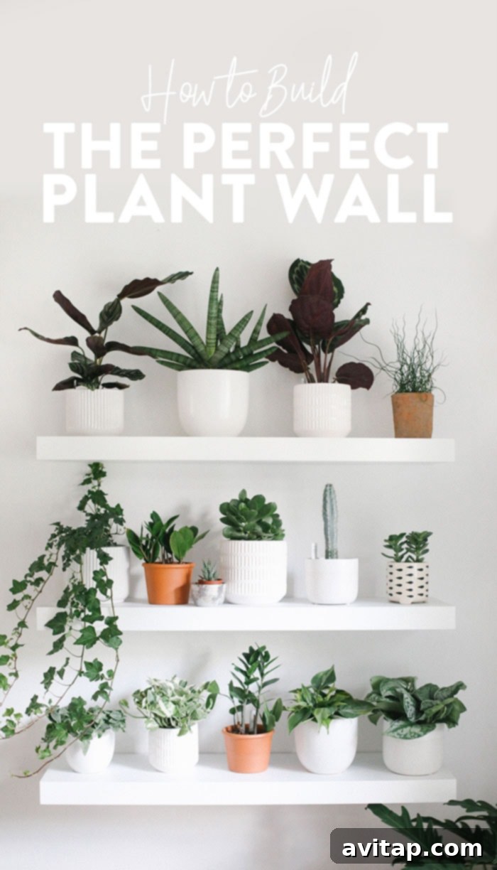 Transform Your Space with a Plant Wall 2 Indoor plant wall with various green plants on white shelves, enhancing home decor.