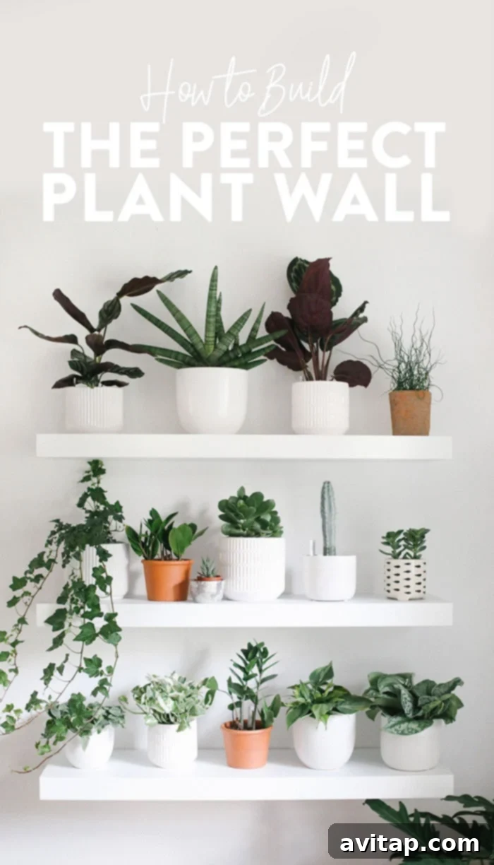 DIY Indoor Plant Wall Inspiration Indoor Plant Wall Design