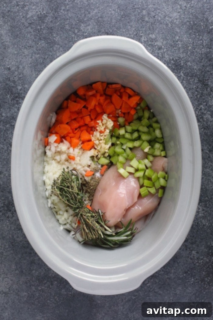 A slow cooker filled with fresh, uncooked chicken, carrots, celery, onion, and herbs, ready for broth.
