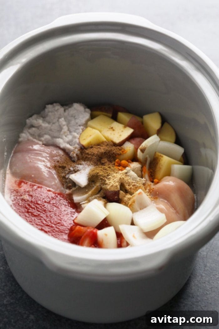 Slow Cooker Chicken Tikka Masala Ingredients Ingredients for slow cooker chicken tikka masala, including chicken, potatoes, and spices, ready in a crock pot.