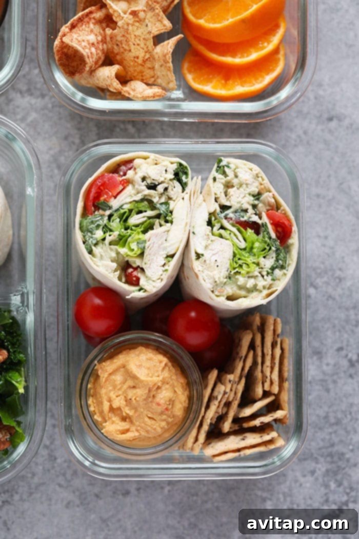 Pesto Chicken Wrap Bento Box for a Healthy Lunch Photo of Pesto Chicken Wrap Bento Box with cherry tomatoes, hummus, and crackers