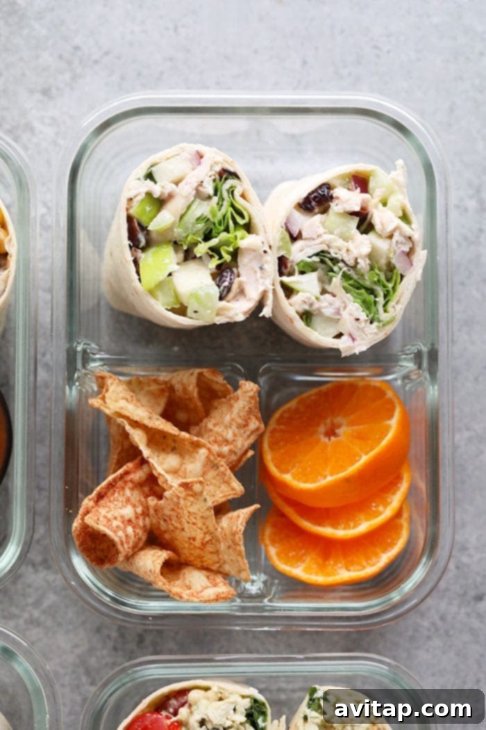 Classic Cranberry Chicken Salad Bento Box Twist A photo of the Cranberry Chicken Salad Wrap Bento Box with fresh fruit and chips