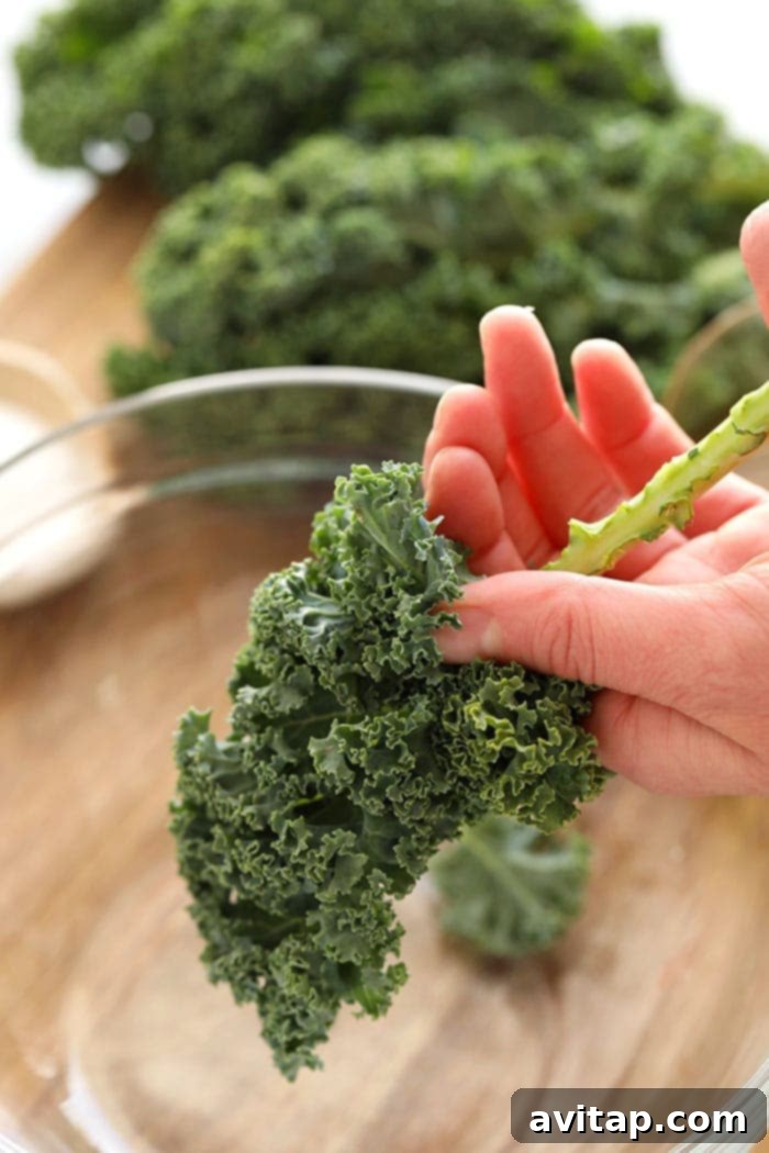 A hand expertly removing the tough central stem from a piece of kale, preparing it for a salad.
