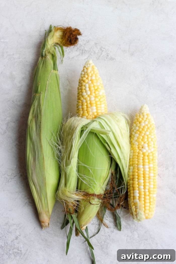 Three fresh ears of corn on the cob, ready for preparation.