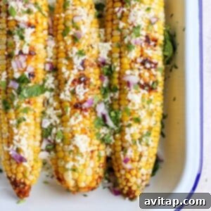 Perfectly grilled Mexican Street Corn on the cob, garnished with fresh cilantro and cotija cheese.