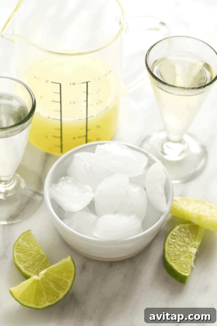 A top-down view of frozen margarita ingredients: lime juice, triple sec, tequila, agave nectar, and ice.