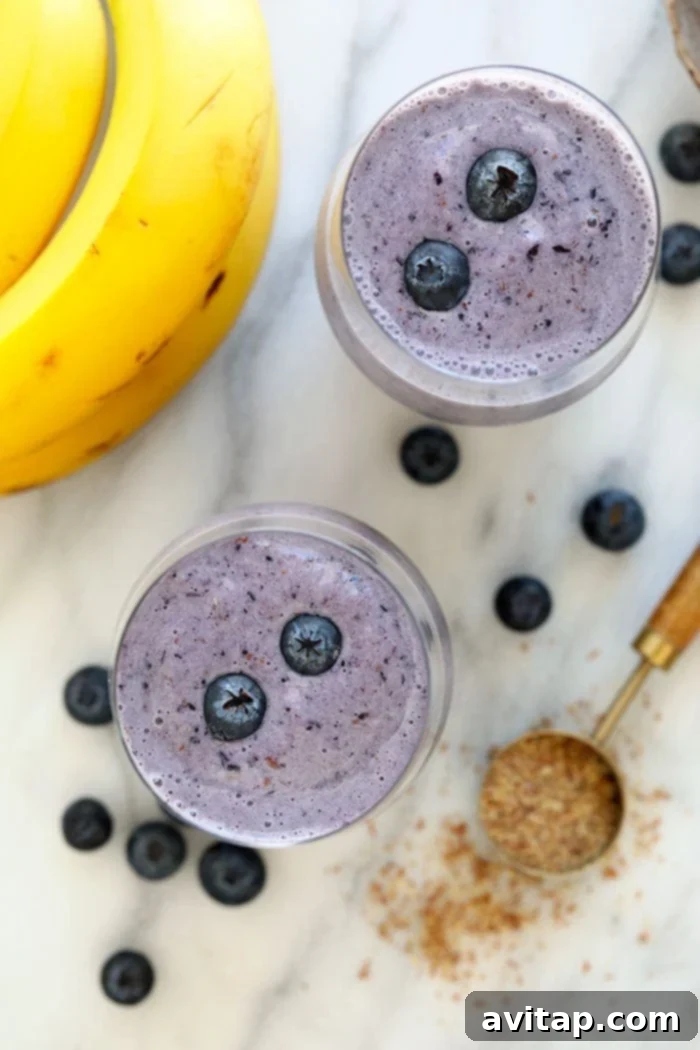 Enjoying two refreshing blueberry banana smoothies, perfect for sharing or a double dose of goodness. Two glasses of vibrant blueberry banana smoothies, garnished and ready to serve.