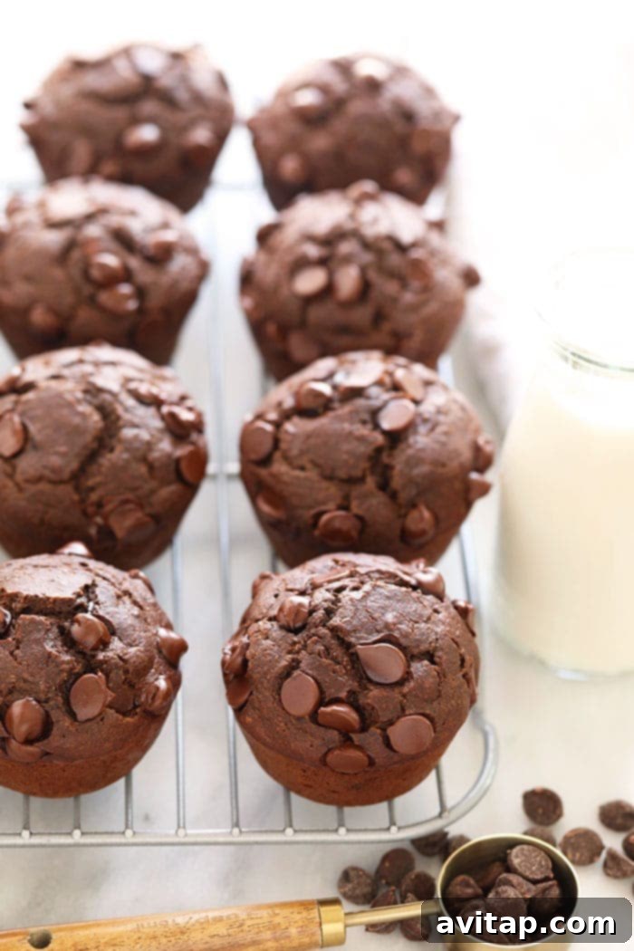 Healthy chocolate chip muffins cooling on a wire rack, ready to be enjoyed or stored.