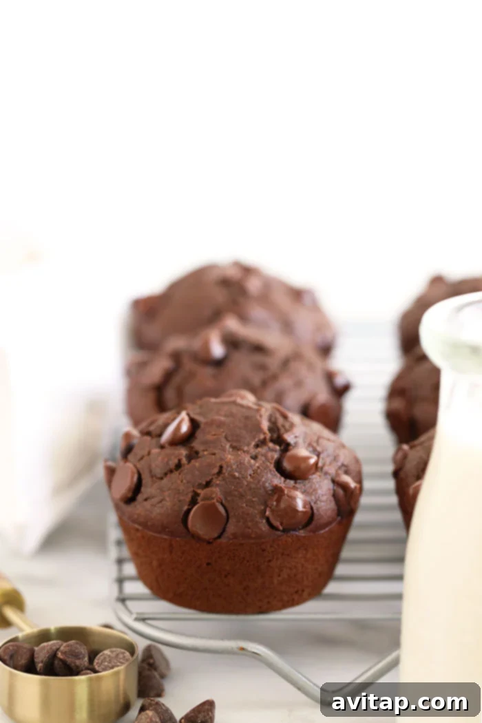 A close-up of healthy chocolate muffins, showcasing their moist texture and chocolate chips.