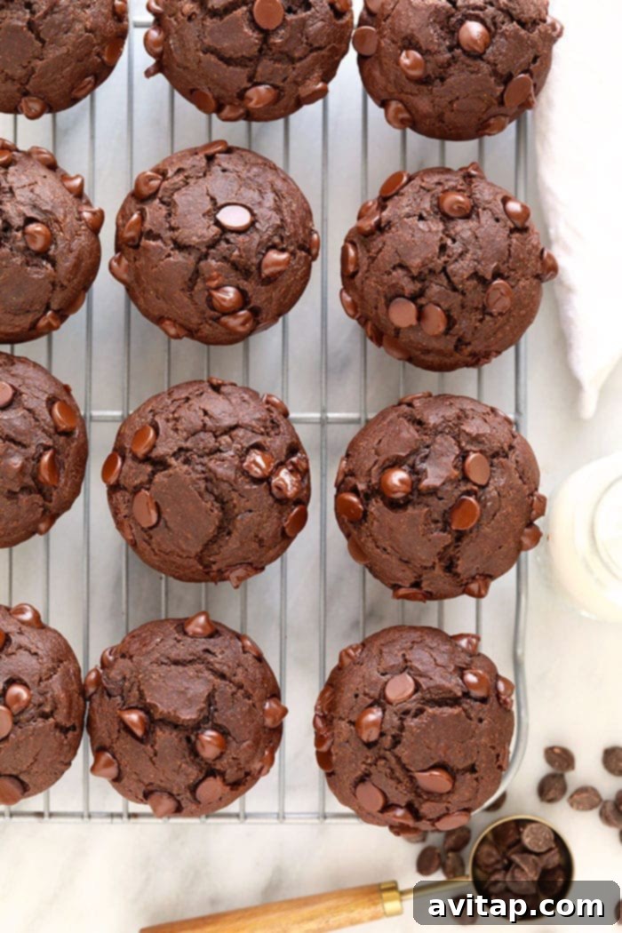 Healthy chocolate muffins cooling on a wire rack, steam gently rising.