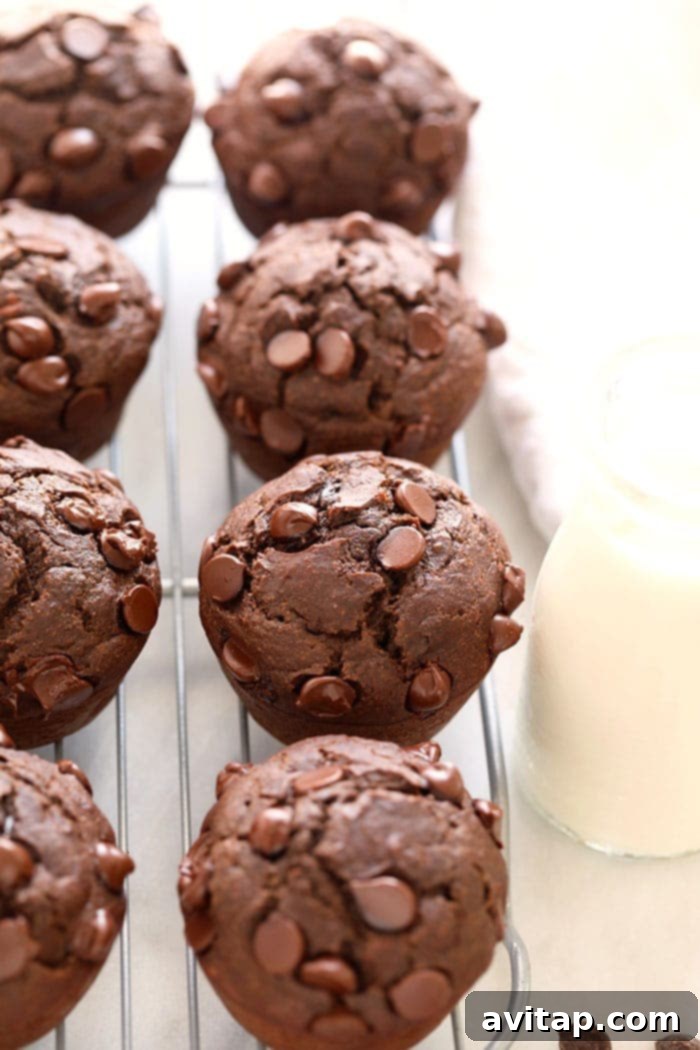 Healthy chocolate muffins in a freezer bag, labeled and ready for storage.