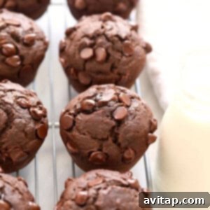 Healthy chocolate chip muffins cooling on a rack, freshly baked.
