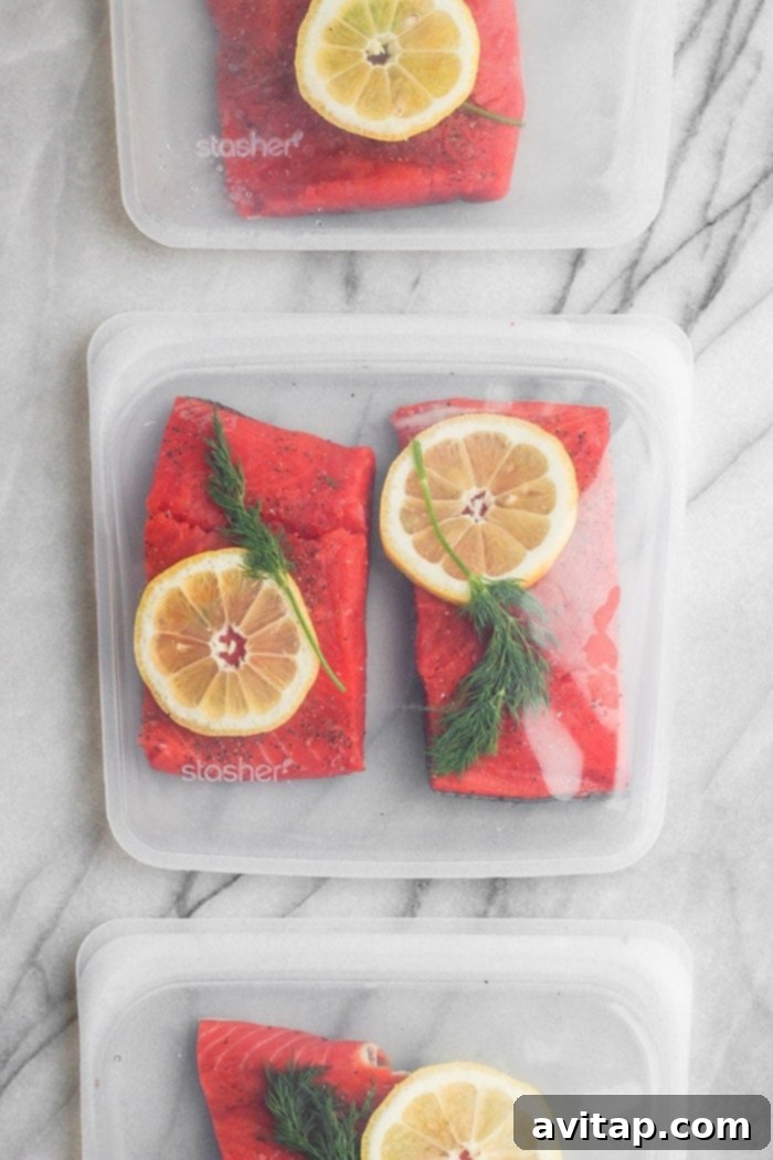 Salmon in Sous Vide Bags Sealed Stasher bags containing seasoned salmon fillets ready for sous vide cooking.