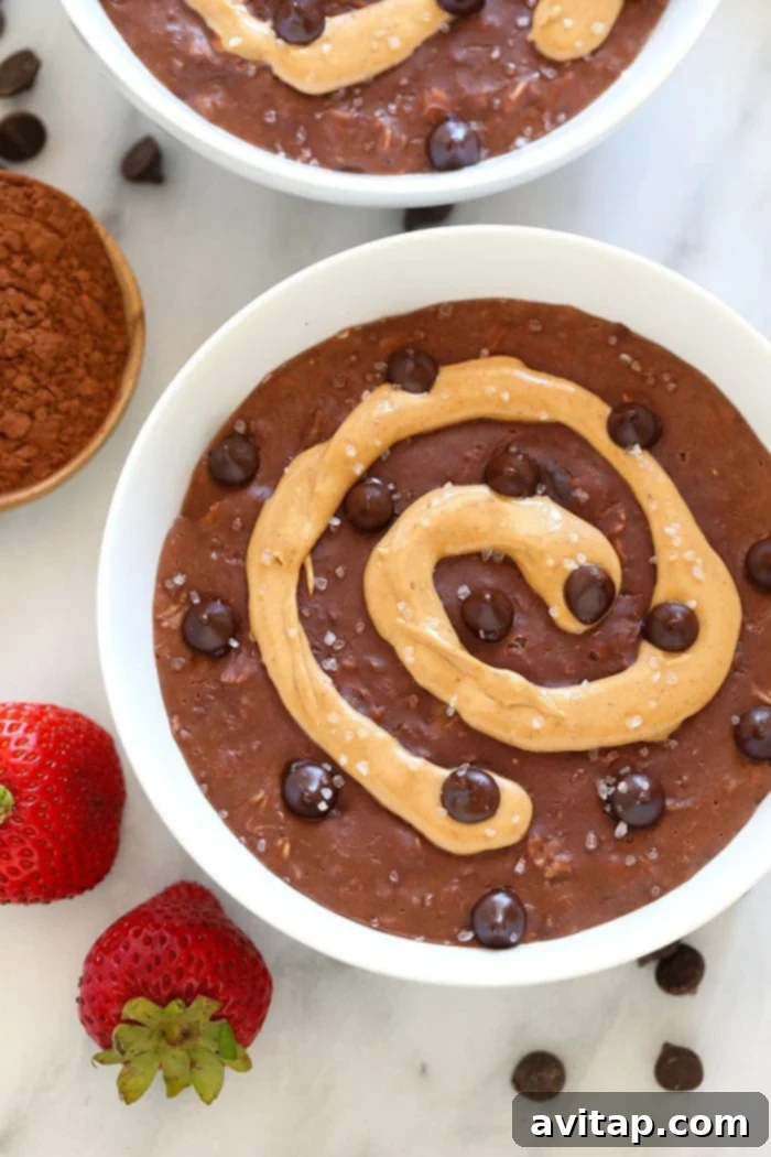 chocolate oatmeal with peanut butter swirl
