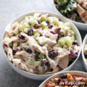 A Greek yogurt chicken salad with cranberries.
