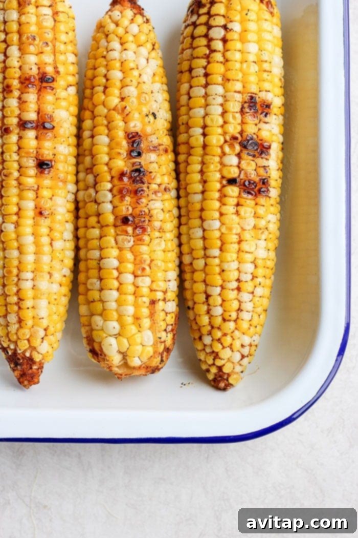 Close-up of grilled Mexican corn on the cob seasoned with chili powder.