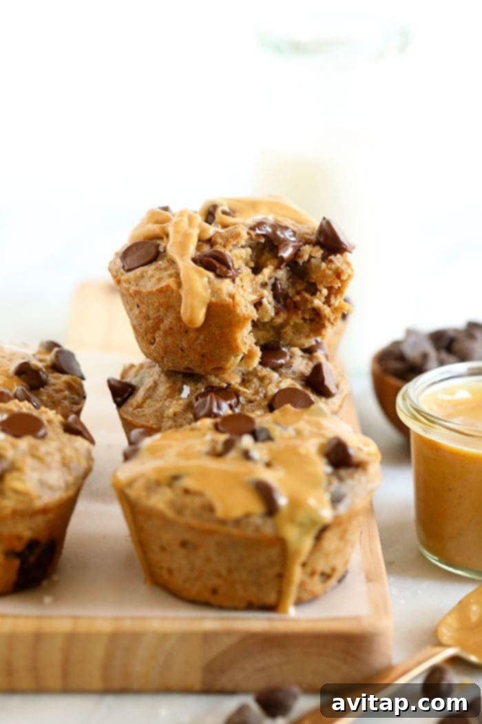 Delicious baked peanut butter chocolate chip oatmeal cups ready for breakfast and meal prep.
